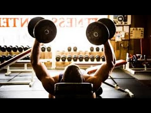 Instant Muscle Hack System guide