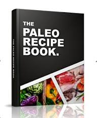 what is paleo recipe?